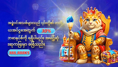 တတိယအပ်ငွေအတွက် 30% ဘောနပ်စ်